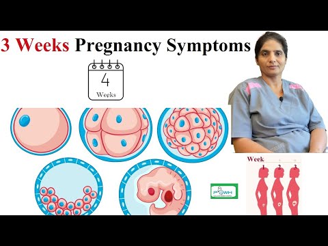 गर्भावस्था के 3 और 4 सप्ताह में क्या होता है? 4 Week Pregnancy Symptoms