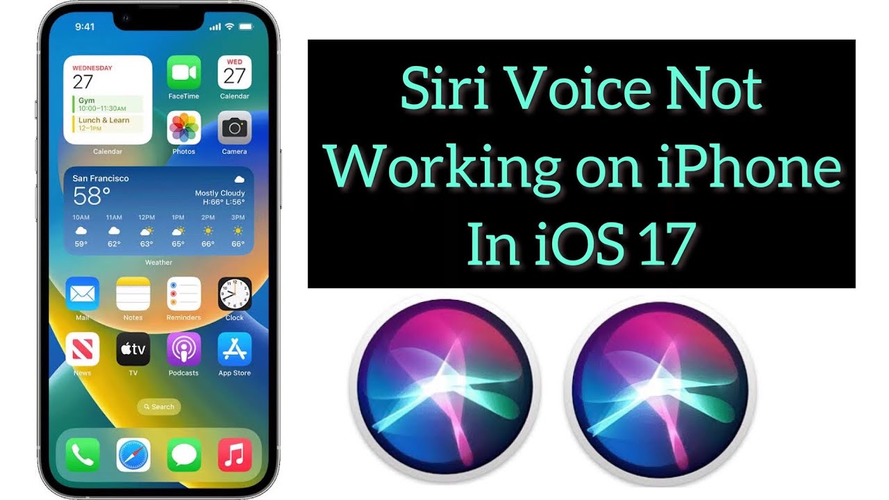 How to Fix Siri Voice Not Working on iphone in iOS 17 - YouTube