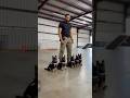 Cute German shepherd pups training #k9 #germanshepherd #puppy #dog #fyp #viral #shorts