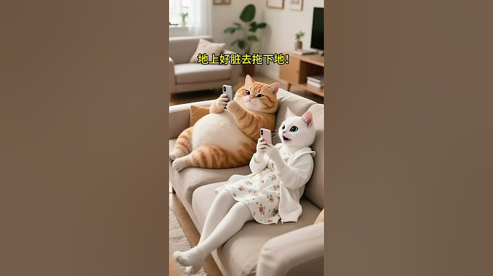 老婆就是NPC，一靠近就发布任务！#有趣 #分享 #动物 #猫咪 #狗狗