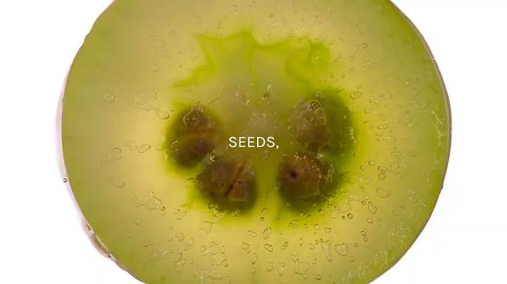 SVARIAN x VEGEA | ITALIAN BIO-LEATHER