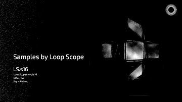 Samples by Loop Scope - LS.s16