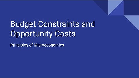 2.1 Budget Constraints and Opportunity Costs