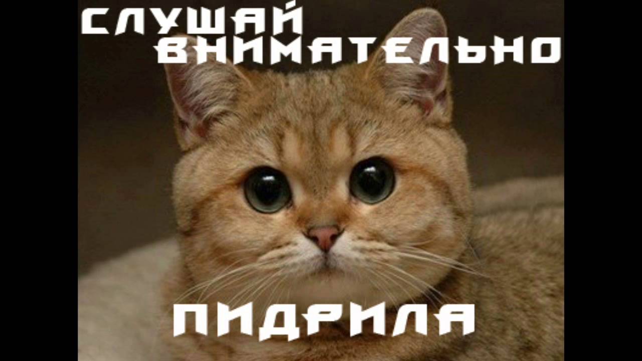 STOkg - Что такое креатин? - YouTube