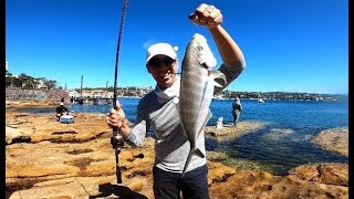 Crazy fishing day at Sydney Harbour!
