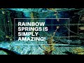 Rainbow Springs State Park Tour & Review | Florida Vacation | Florida Springs