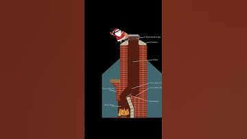 Santa Claus in D&D 5e - description has full video #antas in #dnd #ttrpg