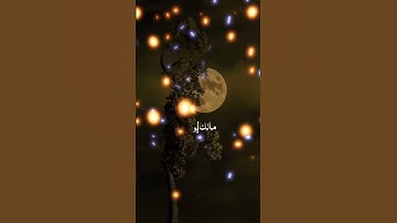 سورة فاتحة #اكسبلور #tilawet #duet #surahmulkfull