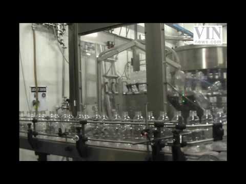 A Behind The Scenes Look At Kedem Grape Juice 1