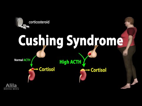 Video: Forskellen Mellem Addison Sygdom Og Cushing Syndrom