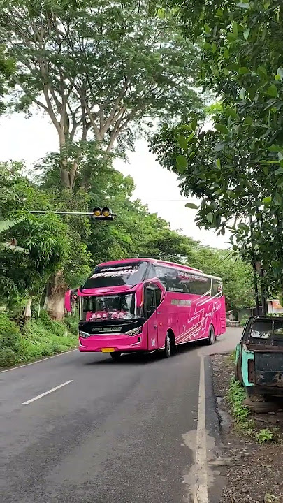 Simpel Saja | SR3 Kimberlly | Bus Satria Timur Trans | Gulo Balap | 082244492345 ✅️