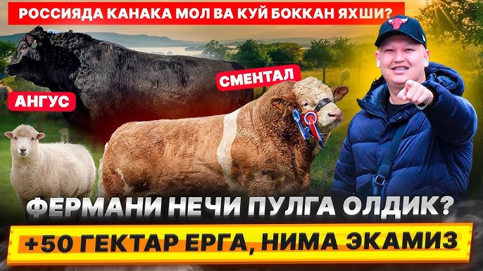 Haqiqiy rus maxfiy kamera porno onlayn BBW jinsiy aloqa rasmlar