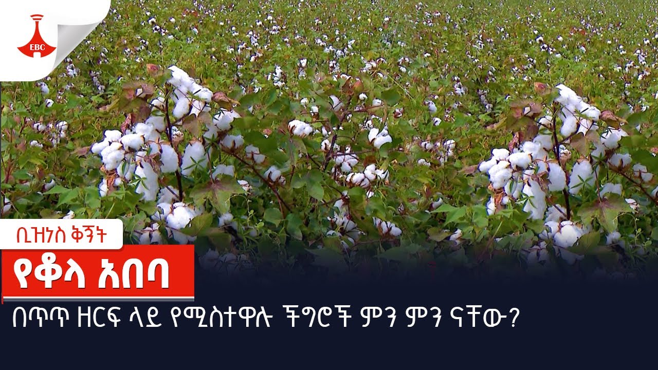 Etv Ethiopia News YouTube etv-ethiopia-news-youtube