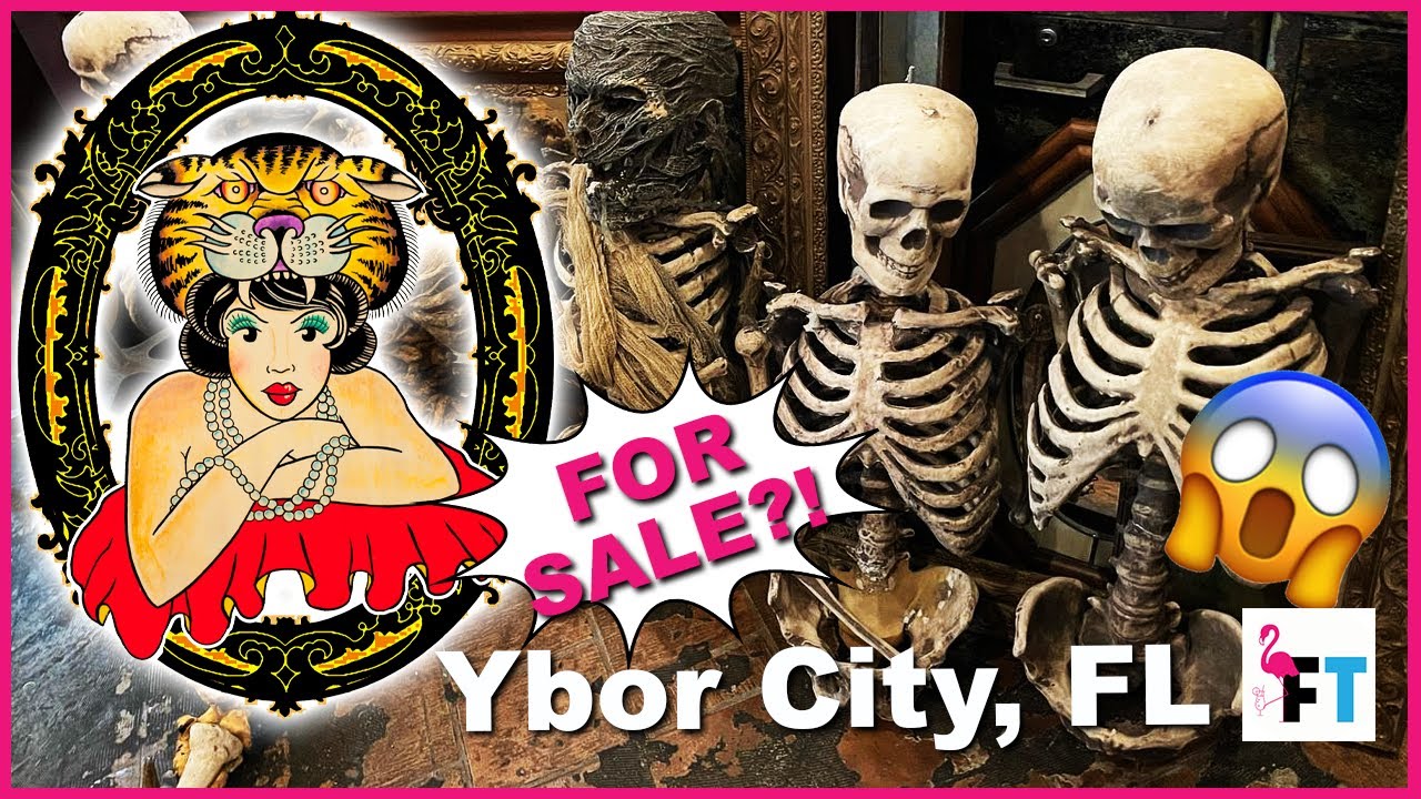 Dysfunctional Grace Art Co Ybor City YouTube