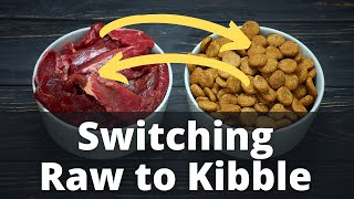 Switching Raw to Kibble Dog Food the Right Way by Geoff Boileau 2,974 views 2 years ago 1 minute, 34 seconds