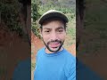 terça feira  de triação#coffee #agriculturaregenerativa #vidanaroça