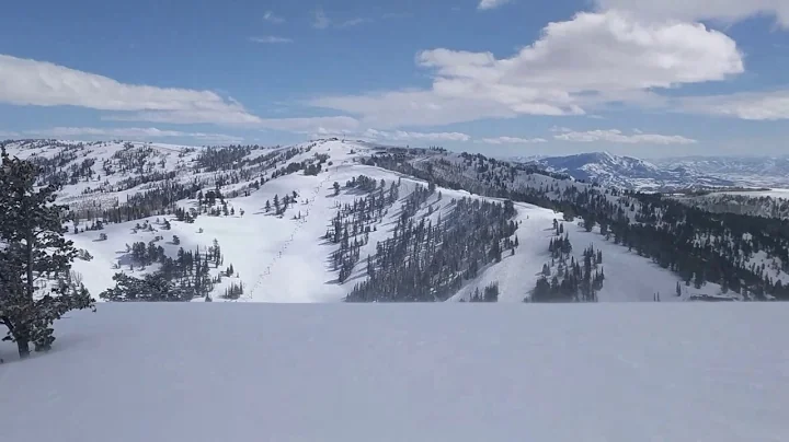 That kind of powder day