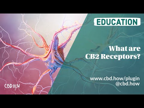 CBD Education