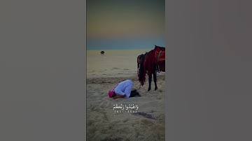اركعوا واسجدوا واعبدوا ربكم - سورة الحج - عبدالرحمن مسعد
