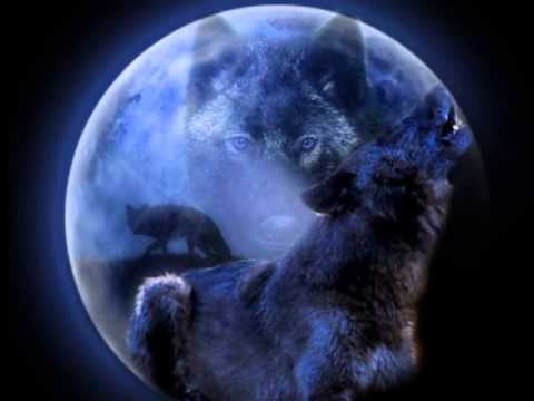 Jose Antonio Bordel Kassandra English Serbian Subtitles