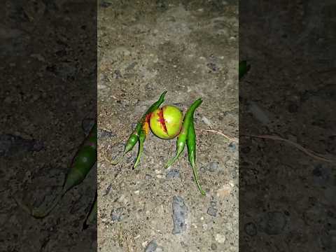 Nimbu Mirchi 😵☠😱