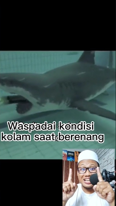 CEK DULU KOLAM RENANG SEBELUM NYEBUR #hiu