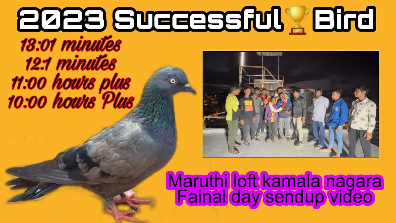 kumar kamlanagara bird fly 12: 01 hours final day |