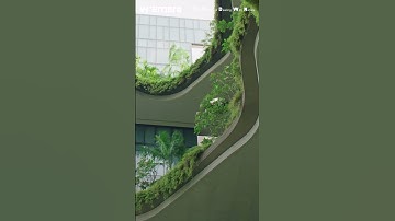 Biophilia: Cities of the Future must embrace Nature. Green construction