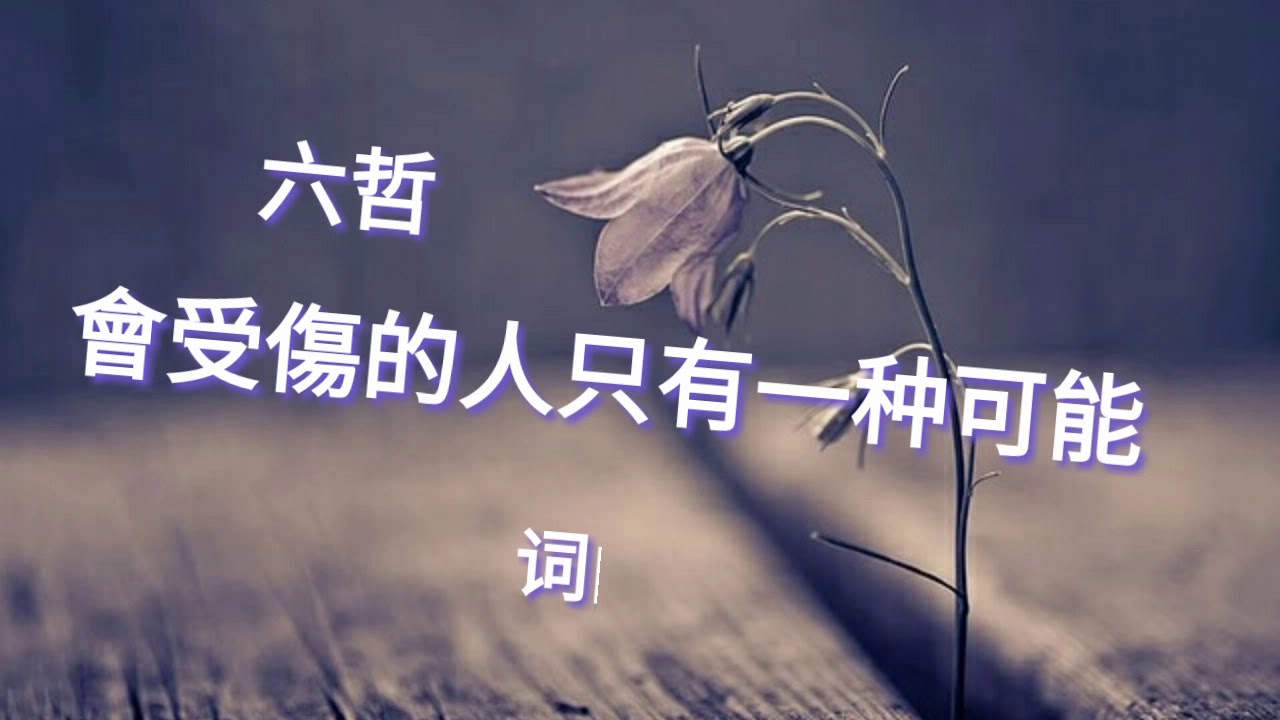 《会受伤的人只有一种可能》演唱 : 六哲