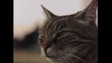 CinePi RAW 24 FPS test no talking Part 1