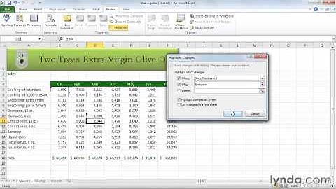 50  Tracking changes from the Course Excel 2010 Essential Training
