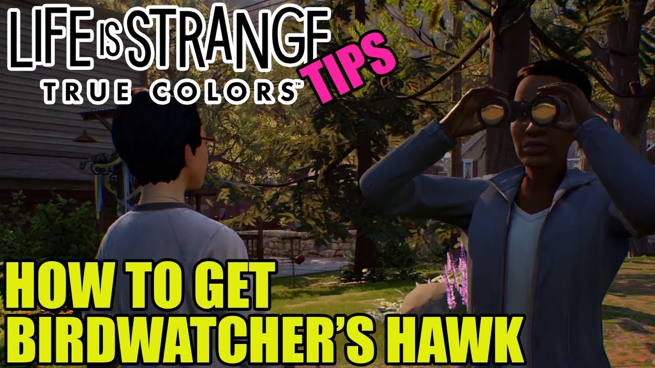 BIRDWATCHER'S HAWK - LIFE IS STRANGE TRUE COLORS GUIDE