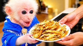 Bibi the monkey gets a surprise chance to cook, and then something unexpected happens.