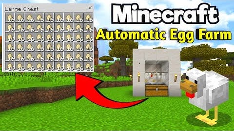 Automatic Chicken EGG Farm In Minecraft 1.21 🥚| Simple Egg Farm 🐔