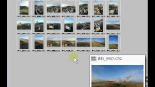 Photoshop TUTORIAL CS4/CS3/CS2 - convert raw to jpeg.