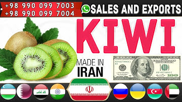 Iranian Kiwi: Sale and export of Hayward kiwi fruits from Iran to all over the world