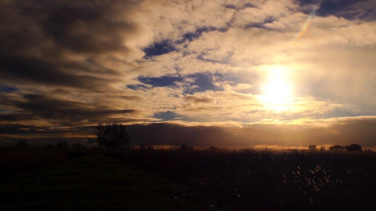 nature revista Eerste drie dagen van 2019