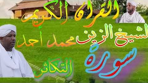 شيخ الزين محمد احمد_ سورة التكاثر Quran 102 At-Takathur Alzain Mohamed