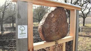 Streuobstwiesenweg Ist Jetzt Traumpfad