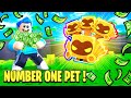 I Spent TONS OF ROBUX To Get The NUMBER ONE PET!! (Roblox)