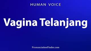 Download Lagu How To Pronounce Vagina Telanjang MP3
