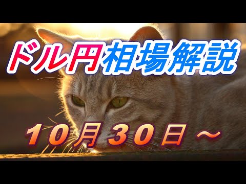 【TAKA FX】ドル円為替相場の今週の動きと来週の展望をチャートから解説。日経平均、NYダウ、金チャートも。10月30日～