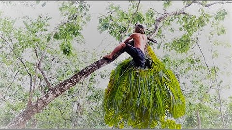 A Day To Build an Amazing Bird Nest House on The Tree as Primitive Technology