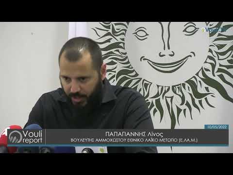Δήλωση Λίνου Παπαγιάννη για Ad Hoc Επιτροπή για το Δημογραφικό Πρόβλημα | Vouli report 10/05/2022