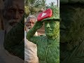 #ai #army #fashion #lifeisbutadream #mhacommunity #automobile #ihavethisthingwithplants 🥺🥺🥺🥺🥺🥺🥺🥺🥺🥺