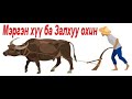 "Мэргэн хүү ба Залхуу охин" үлгэр | Fairy tales | ulger | ylger | сонсох | Монгол хэлээр | домог