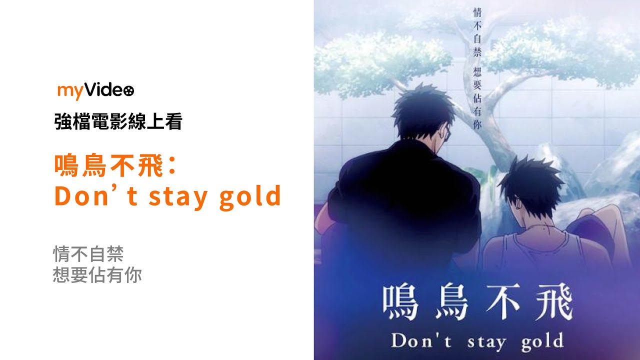 《鳴鳥不飛：Don’t stay gold》台灣最賣座BL動畫電影 番外經典篇章 電影預告 ｜myVideo強片電影線上看 - YouTube