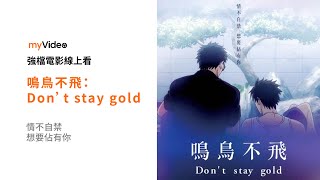 《鳴鳥不飛：Don’t stay gold》台灣最賣座BL動畫電影 番外經典篇章 電影預告 ｜myVideo強片電影線上看