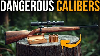 Why Moose Hunters Say These 5 Calibers Are Dangerous in 2026