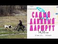 Наш самый длинный маршрут вело-прогулки 14 км.